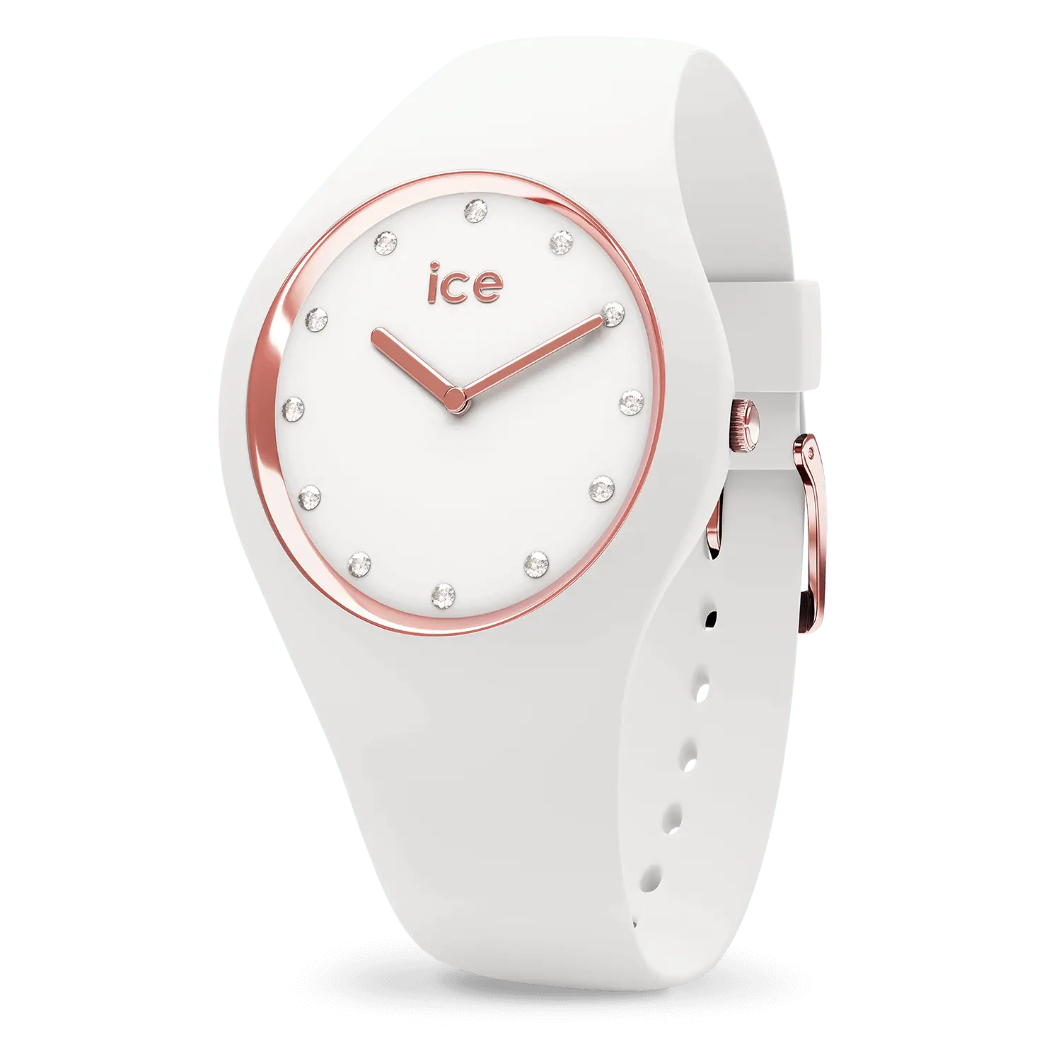 IceWatch