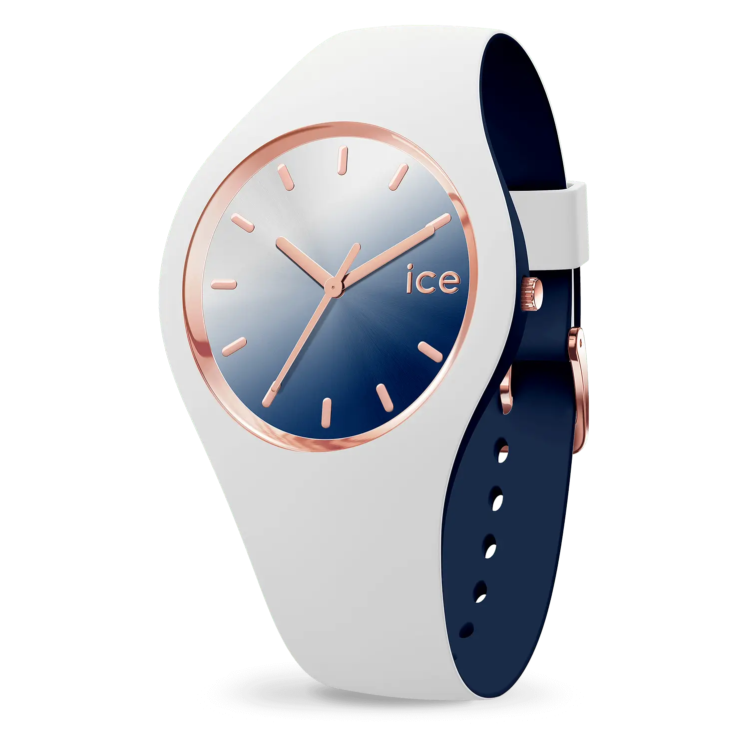 IceWatch