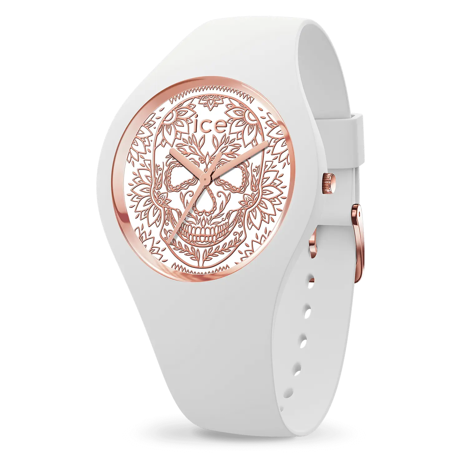 IceWatch
