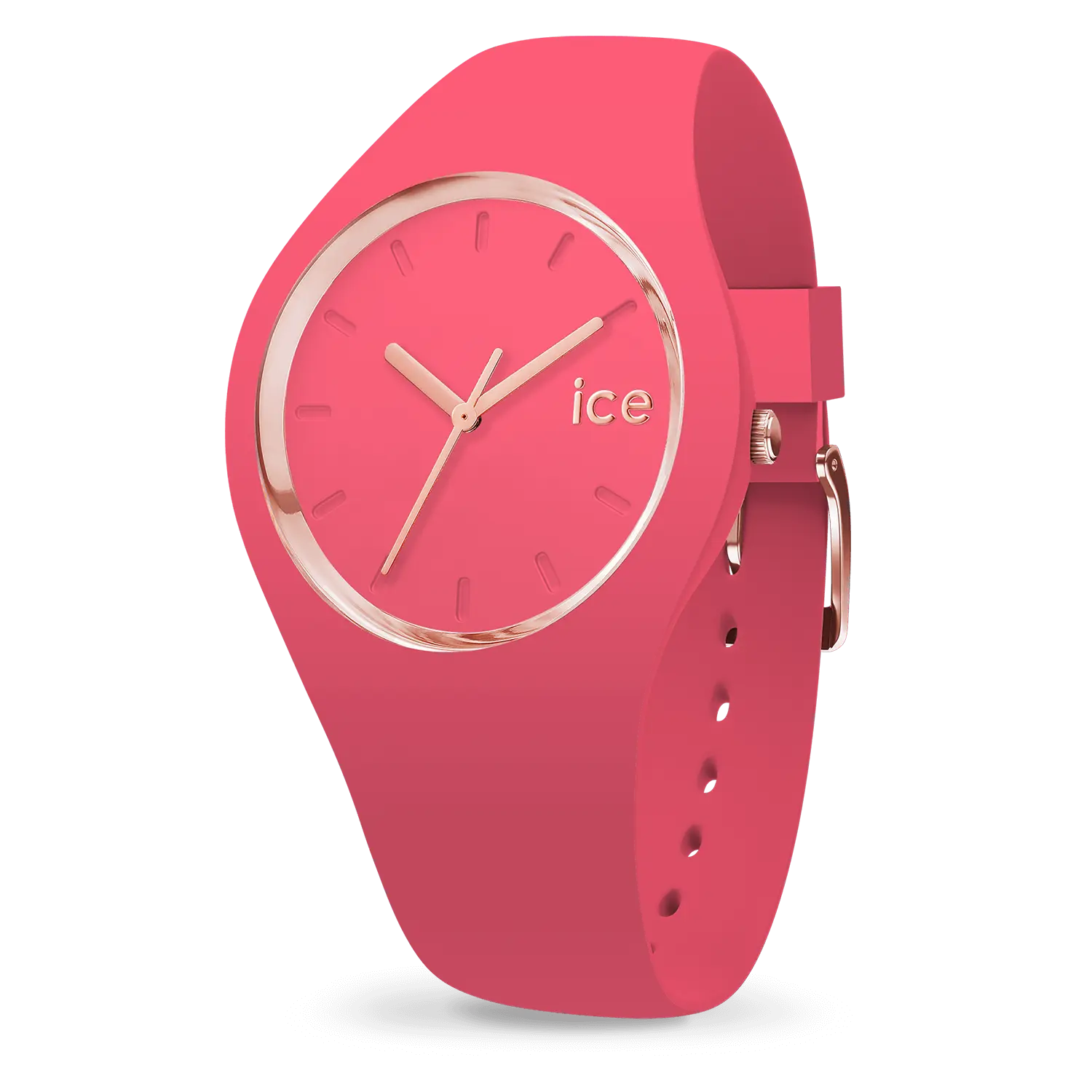 IceWatch