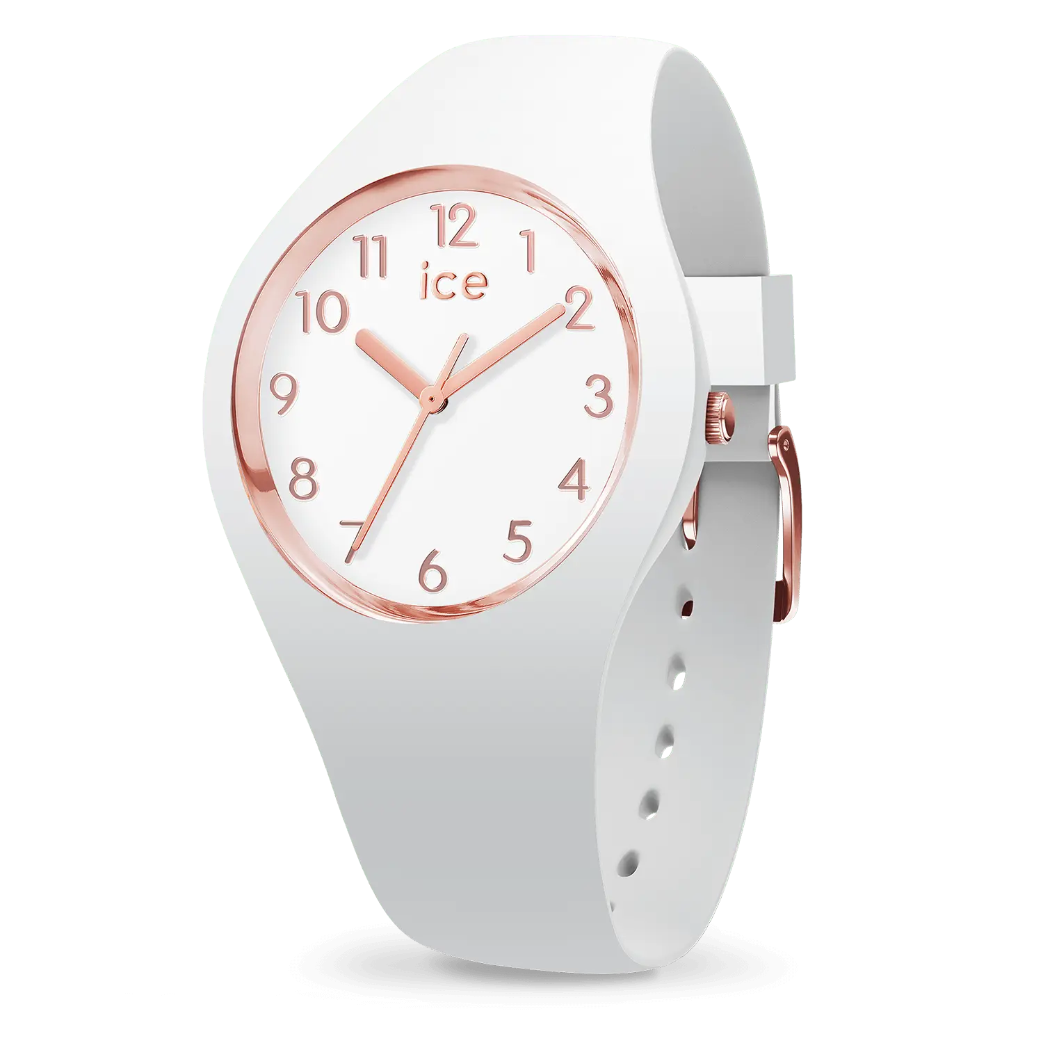 IceWatch