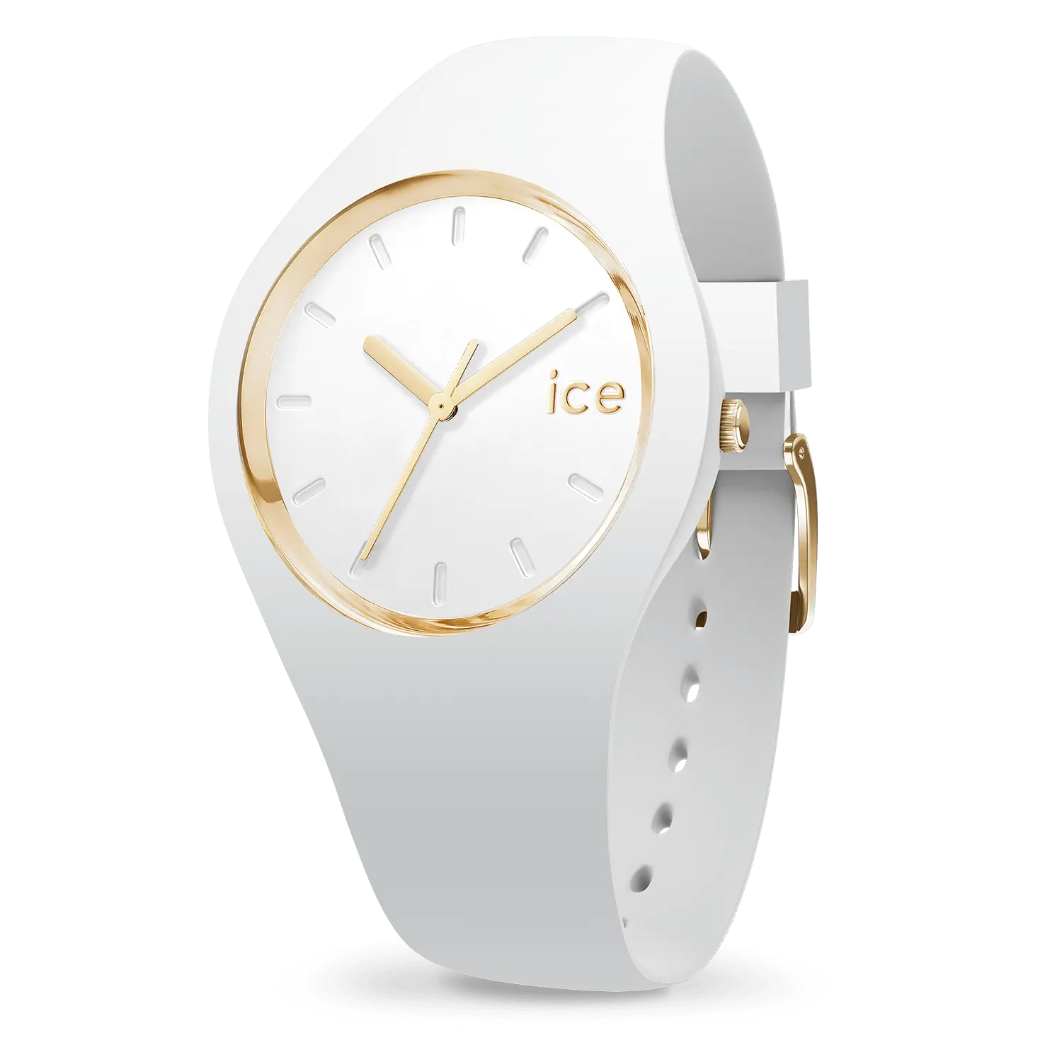 IceWatch