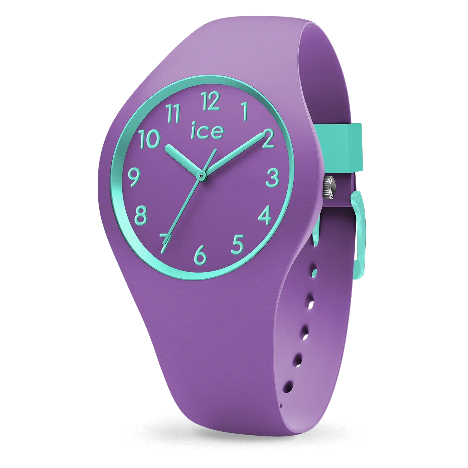 IceWatch
