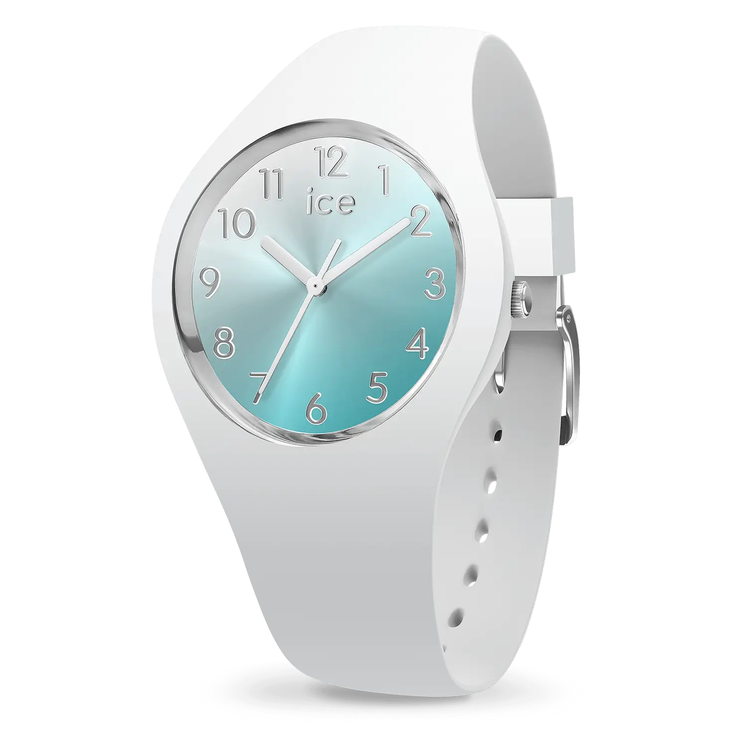 IceWatch